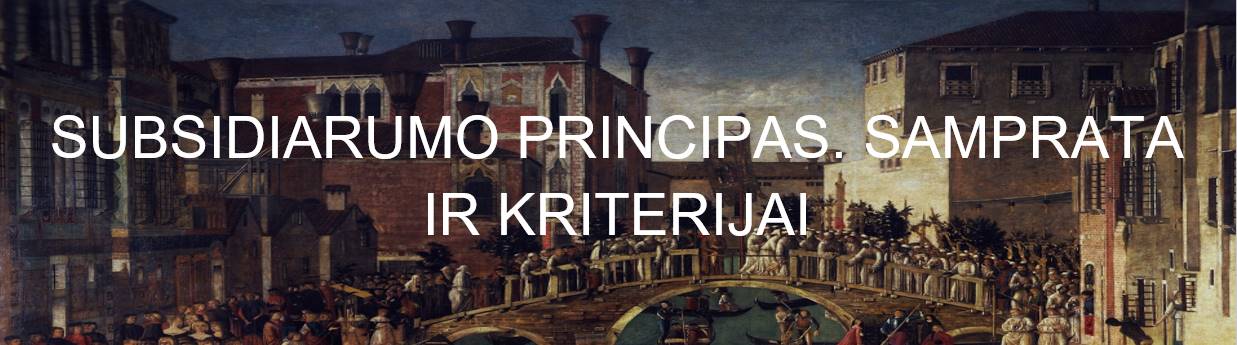 subsidiarumo principas